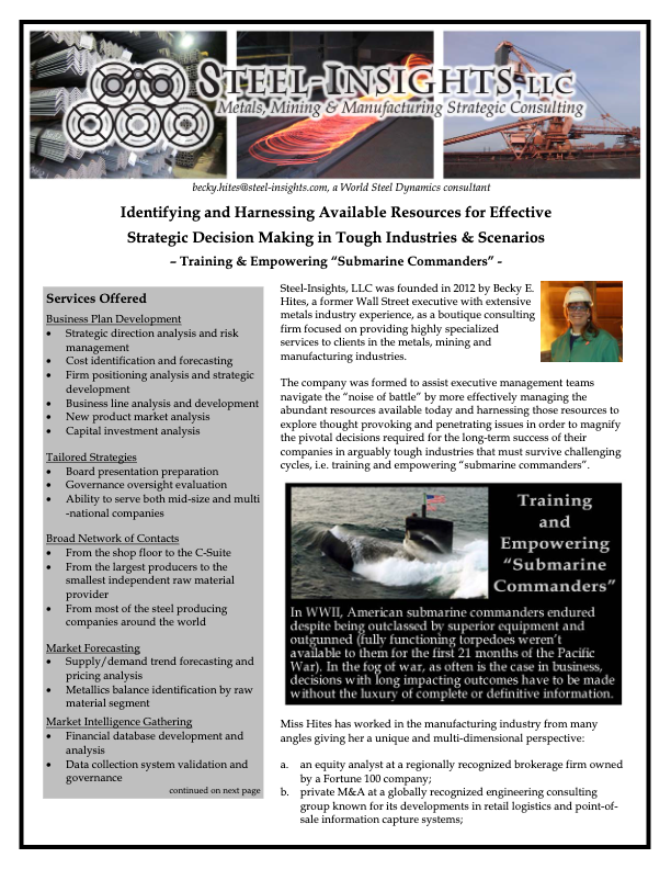 Steel-Insights Brochure Mar 2014