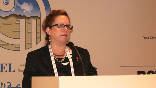 Becky Hites - Steel-Insights
