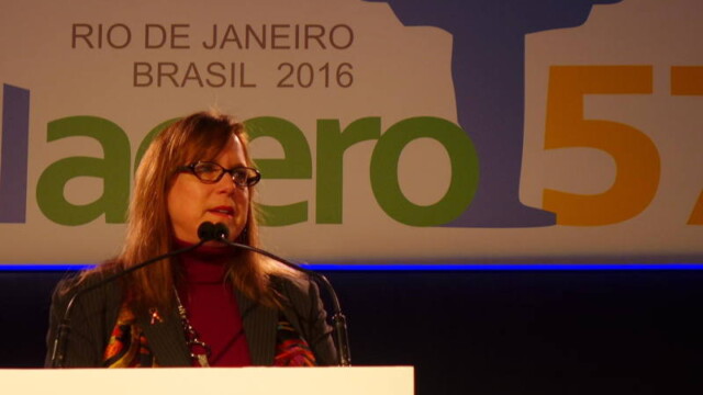 Becky Hites - Steel-Insights