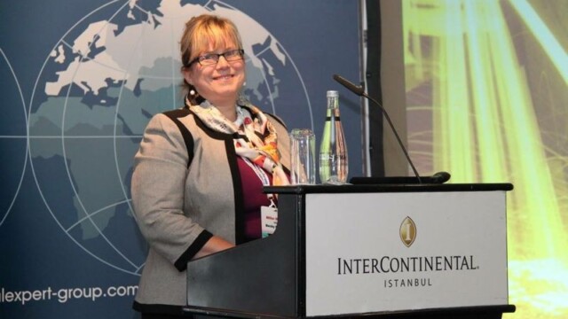 Becky Hites - Steel-Insights
