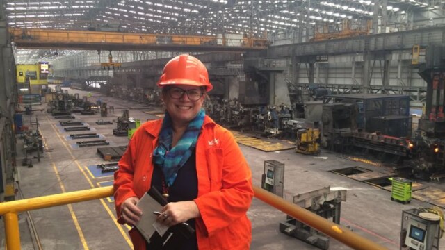 Becky Hites - Steel-Insights
