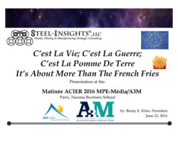 <a href="https://www.steel-insights.com/download/cest-la-vie-mpe-media-paris-jun-2016-pdf/?tmstv=1726965290" target="_blank" rel="noopener">View And Download Full PDF</a>