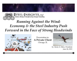 <a href="https://www.steel-insights.com/download/running-against-the-wind-chicago-jun-2015-pdf/?tmstv=1726966684" target="_blank" rel="noopener">View And Download Full PDF</a>