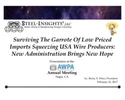 <a href="https://www.steel-insights.com/download/surviving-the-garrote-napa-feb-2017-pdf/?tmstv=1726963492" target="_blank" rel="noopener">View And Download Full PDF</a>