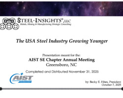 <a href="https://www.steel-insights.com/download/the-usa-steel-industry-growing-younger-oct-2025/?tmstv=1788407993" target="_blank" rel="noopener">View And Download Full PDF</a>